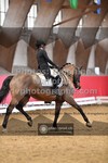 ref. photo 3504675