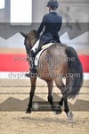 ref. photo 3504680
