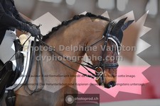 ref. photo 3504693