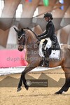 ref. photo 3504699