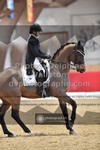 ref. photo 3504702