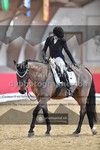 ref. photo 3504716