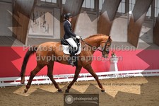 ref. photo 3504738
