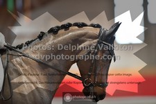ref. photo 3504792