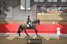 ref. photo 3504805