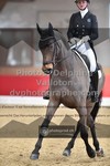 ref. photo 3504842