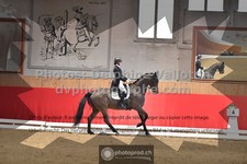 ref. photo 3504855