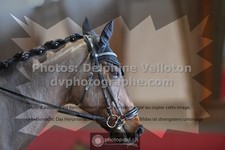 ref. photo 3504877
