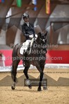 ref. photo 3504888