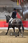 ref. photo 3504895