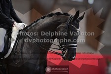 ref. photo 3504897
