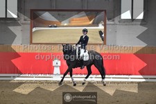 ref. photo 3504901