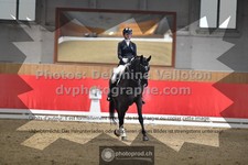 ref. photo 3504902