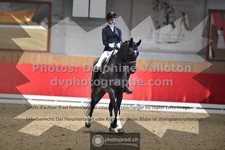 ref. photo 3504903