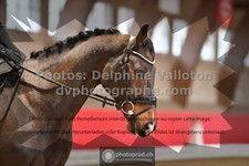 ref. photo 3504934