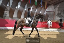 ref. photo 3504946