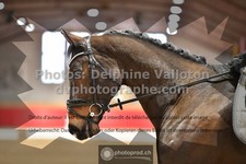 ref. photo 3504950