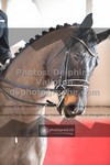 ref. photo 3504968
