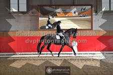 ref. photo 3504983