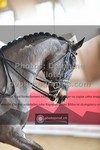 ref. photo 3504993