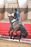 ref. photo 3504996