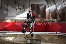 ref. photo 3504997
