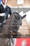 ref. photo 3505005