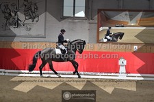 ref. photo 3505019