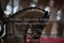 ref. photo 3505033