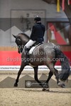 ref. photo 3505034