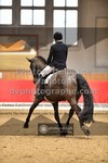 ref. photo 3505035