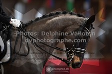 ref. photo 3505038
