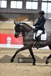 ref. photo 3505039
