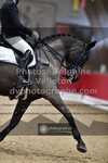 ref. photo 3505041