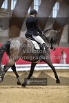 ref. photo 3505048