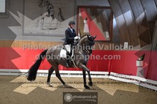 ref. photo 3505053