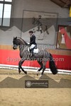 ref. photo 3505058
