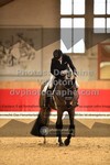 ref. photo 3505066