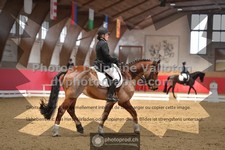ref. photo 3505074