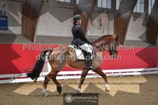 ref. photo 3505099