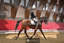 ref. photo 3505112