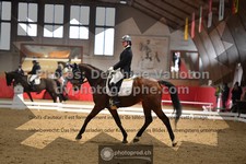 ref. photo 3505116