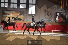ref. photo 3505120