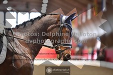 ref. photo 3505124
