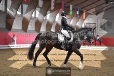ref. photo 3505134