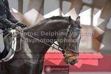 ref. photo 3505140