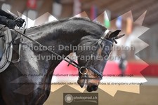 ref. photo 3505141