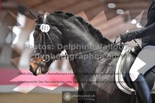 ref. photo 3505150