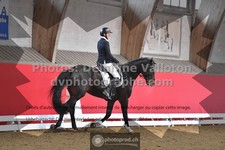 ref. photo 3505151