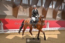 ref. photo 3505160